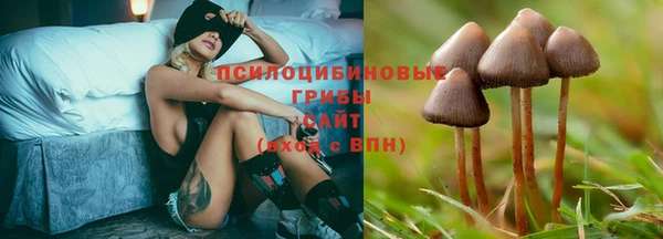 амф Армянск