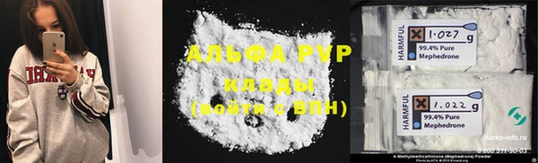 индика Арсеньев