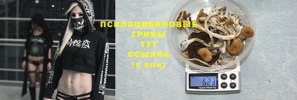MDMA Аркадак