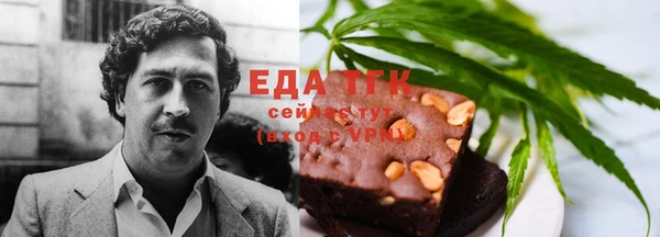 индика Арсеньев