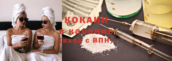 индика Арсеньев