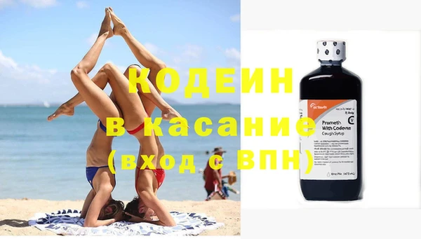 индика Арсеньев