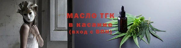индика Арсеньев