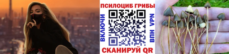Псилоцибиновые грибы прущие грибы  shop телеграм  Зея 